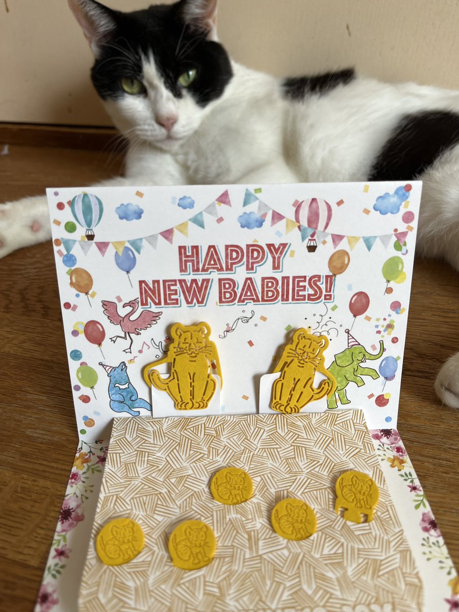 ここねここ (@coconekoko) / Posts / X