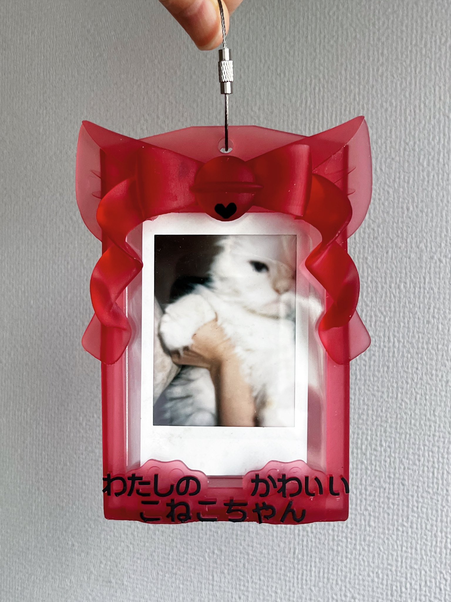 猫天使　赤い宝石×鉛の輪 リリコラム riricoramu Amazon | TOCCOOL ザクロレッド 猫用首輪 クリスタル装飾付き