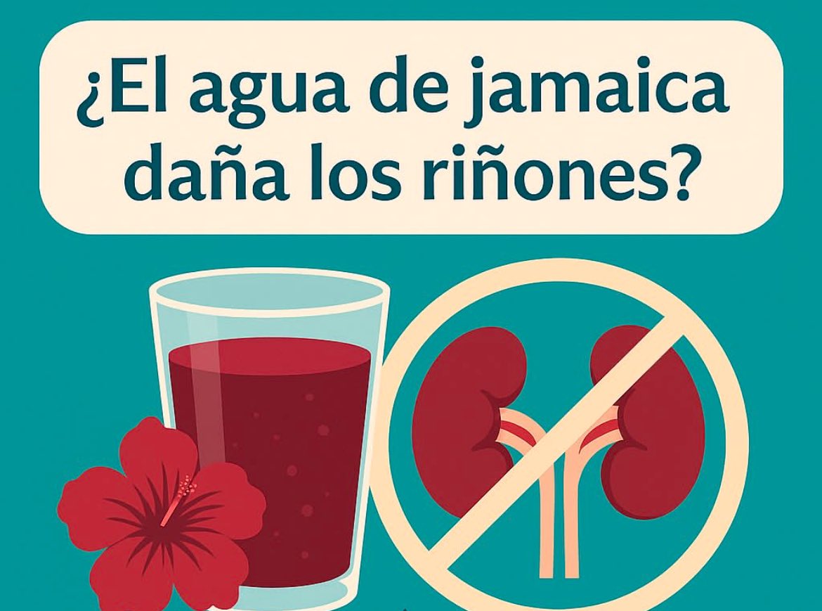 JulioFdez79's tweet photo. AGUA DE JAMAICA 
Lo natural no siempre es inocuo. https://t.co/EoSVCTDOyL