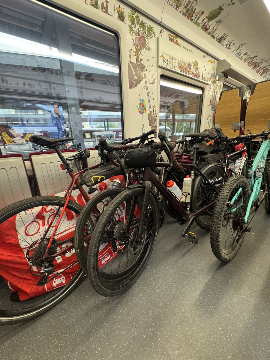 imtiergarten tweet media