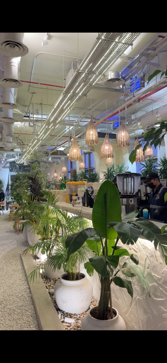 ~أ .📸 tweet media