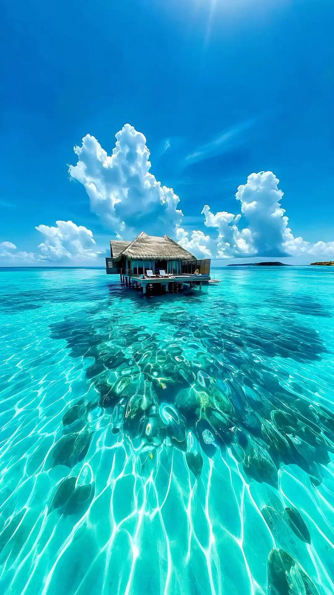 Beauty of Earth (@humansvisual) on Twitter photo 