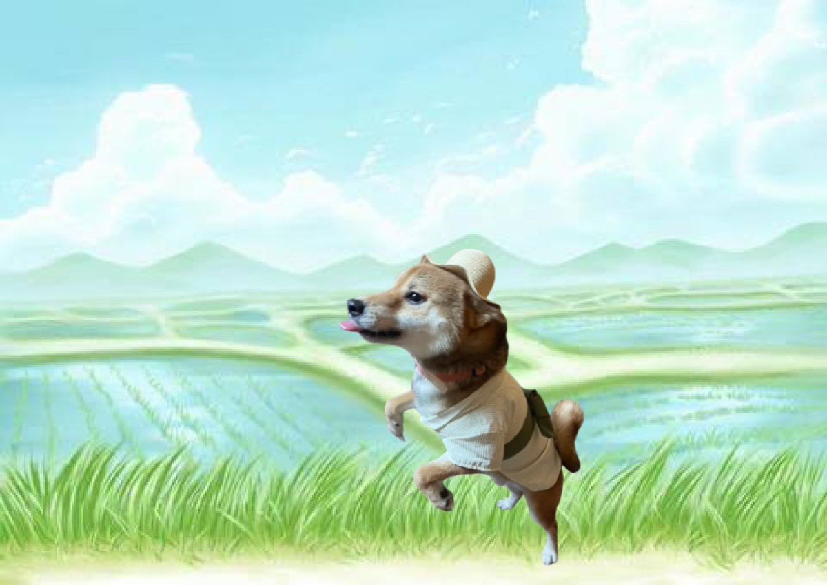 盆最終日お片付け💡