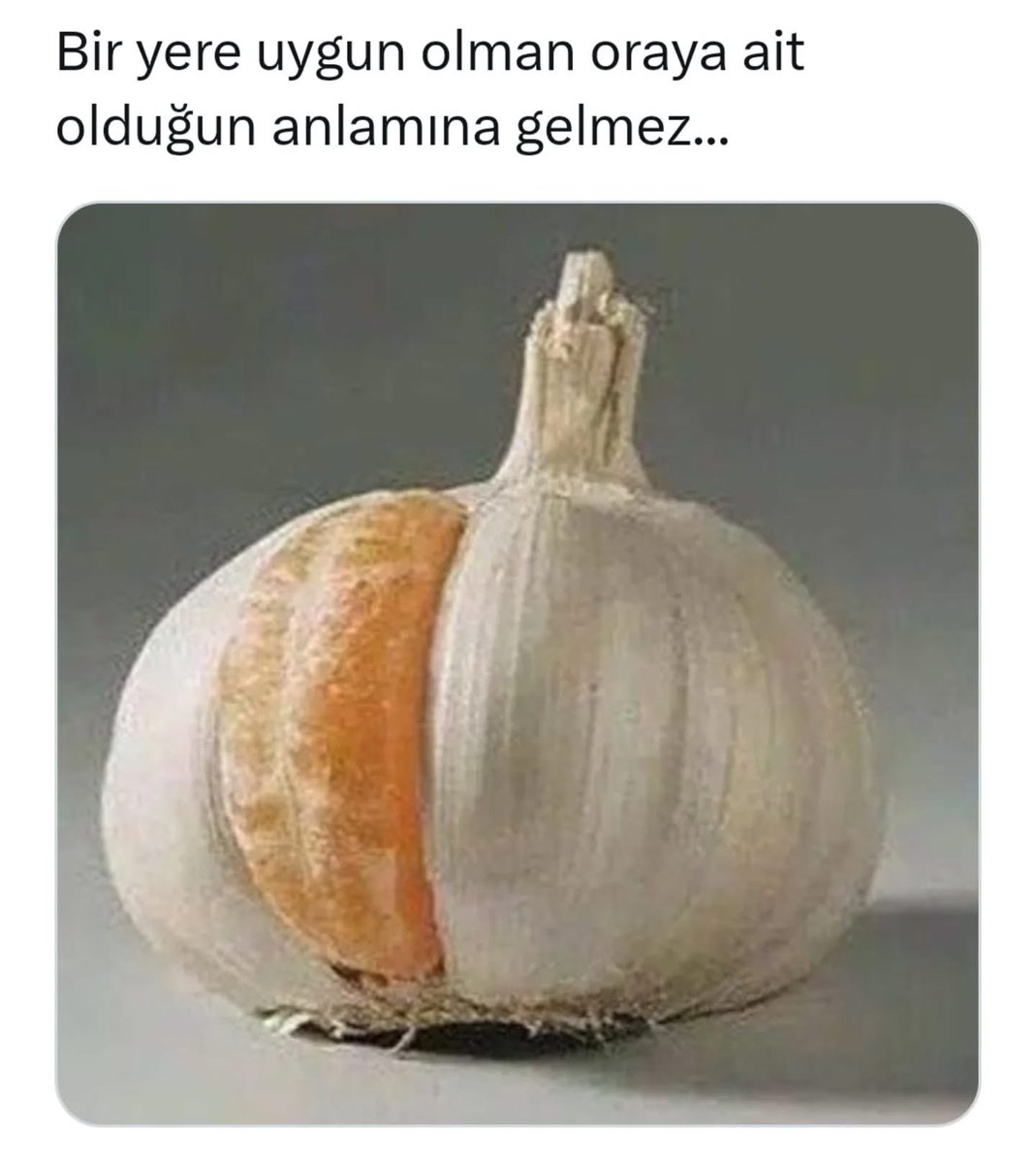 Metin Lütfi BAYDAR (@mlbaydar) on Twitter photo 