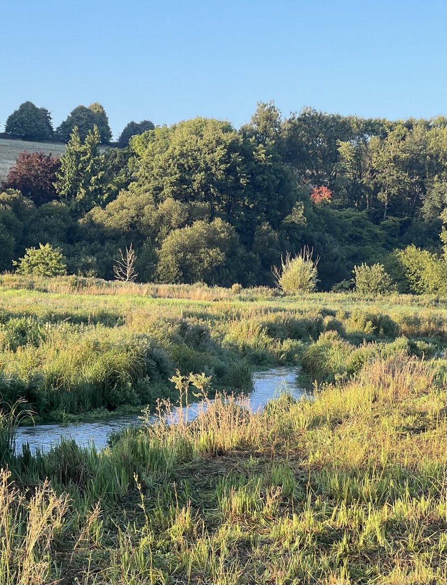 PJennings88's tweet photo. Sunday morning views of the Chess Valley. This is between Chenies and Latimer. As part of the Latimer Music Festival there is a free concert of young musicians in the Church from 11am. ⁦@ChilternSociety⁩ ⁦@ChilternsNL⁩ https://t.co/jltqsLfiK8