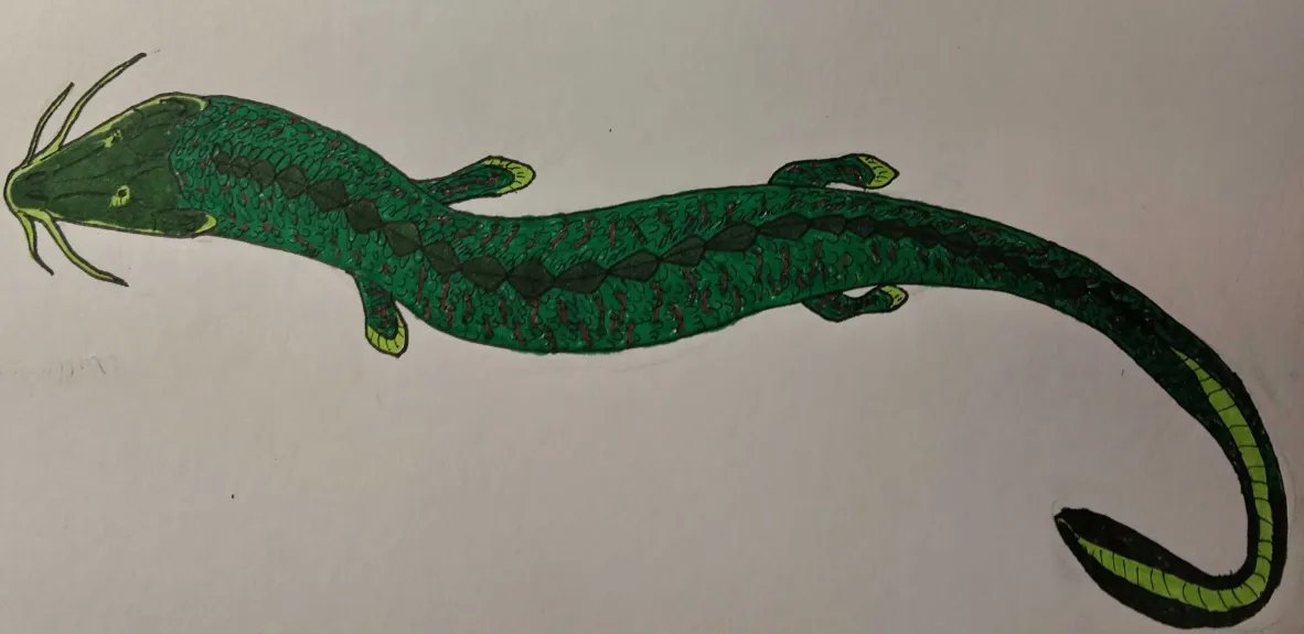 D&amp;D spec evo: Emerald Hagwyrm   

Also called a "slime dragon", this fish is the largest of its family, maxing out at 7 meters in length. Their serpentine body and barbels let them navigate murky and cluttered swamps. They secrete a powerful slime to defend against predators.