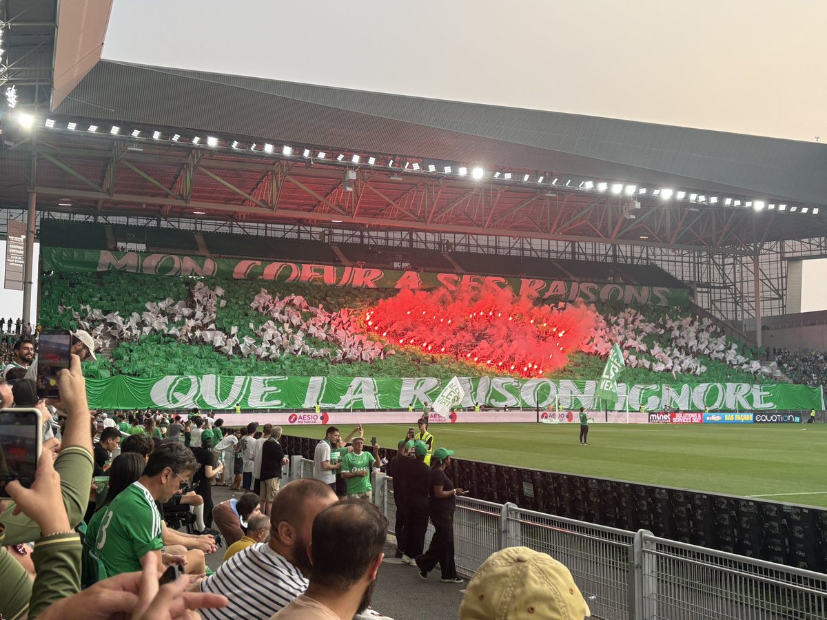 PECHETGaelle's tweet photo. 💚🤍 https://t.co/cKniZqyVoQ