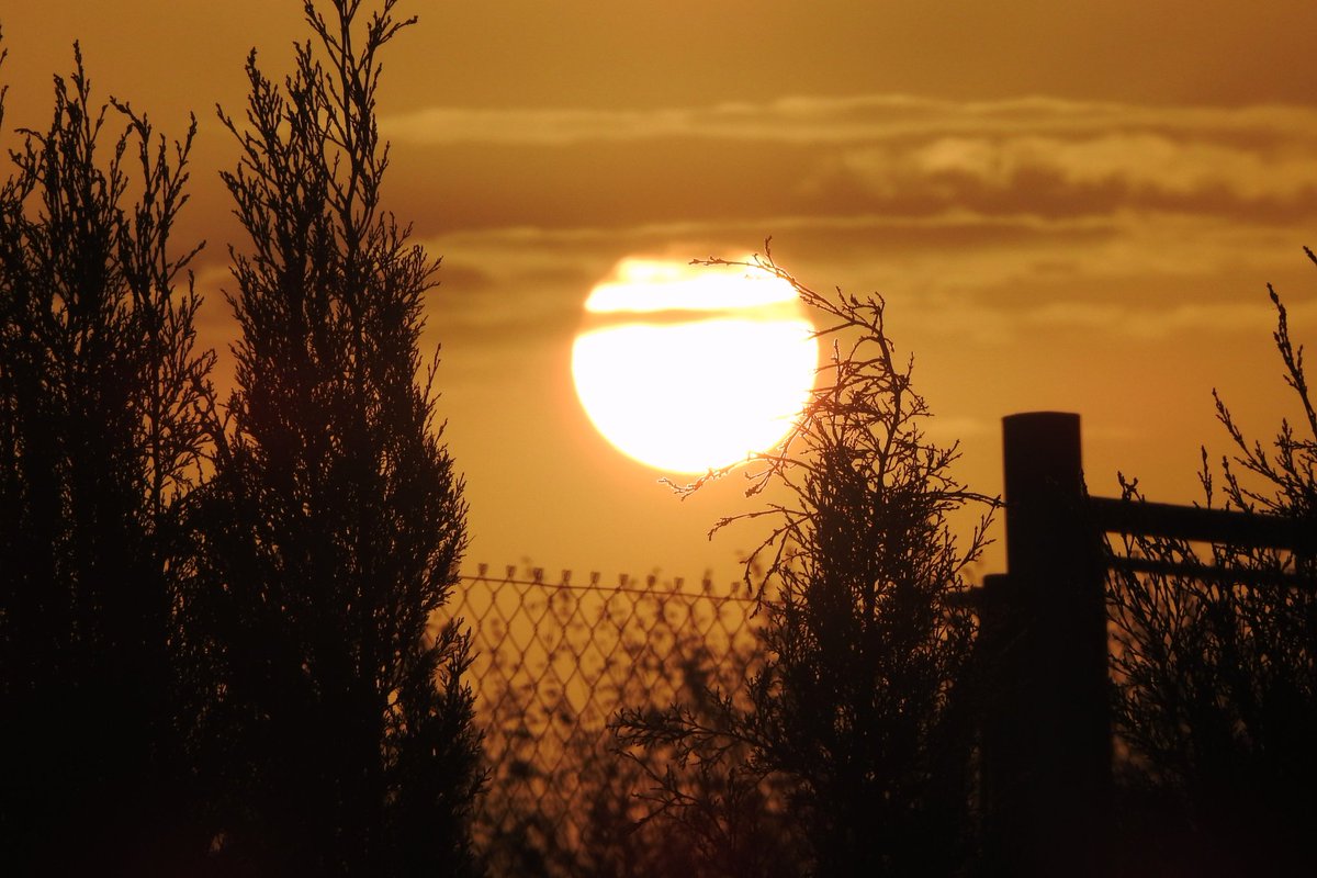 Mari Cortés tweet media