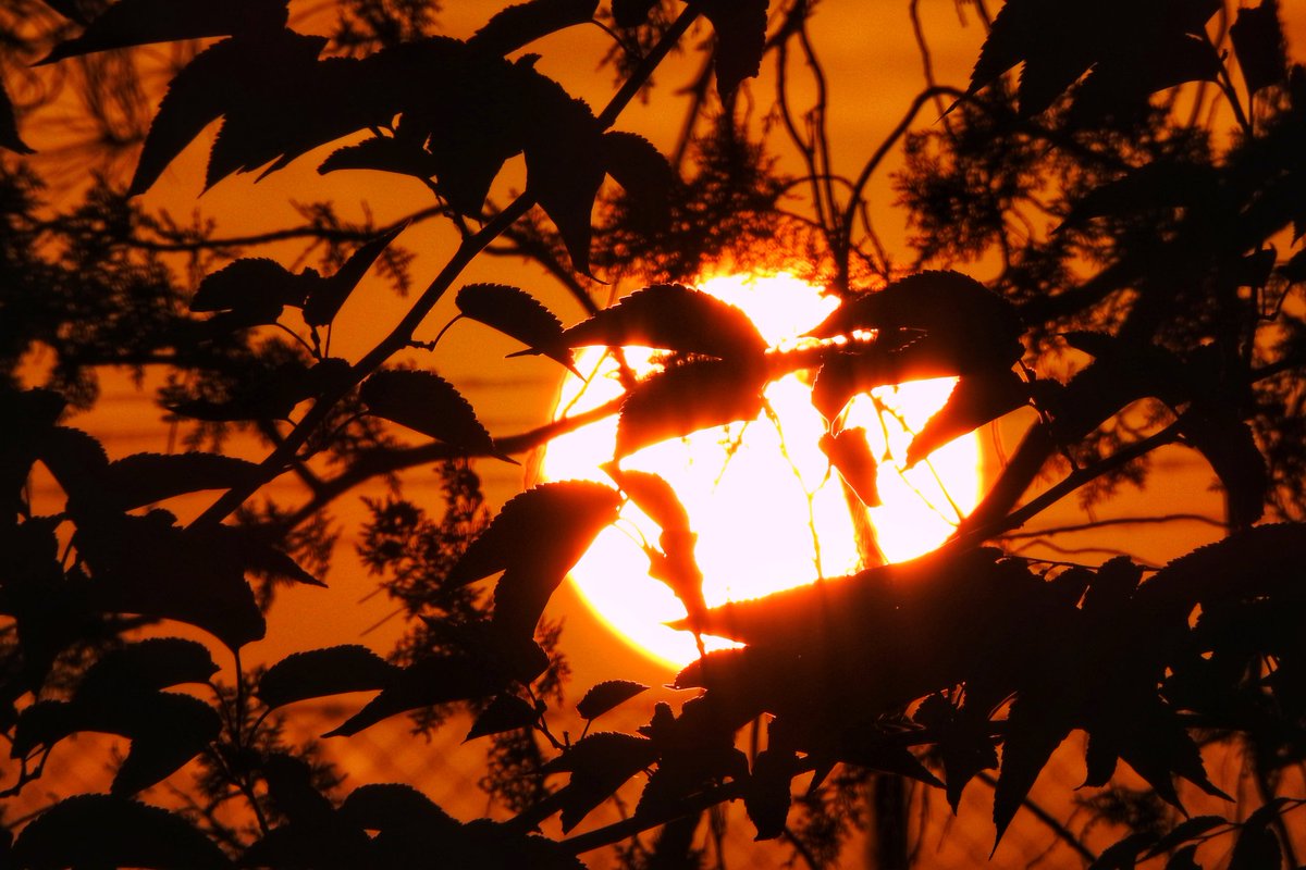 Mari Cortés tweet media