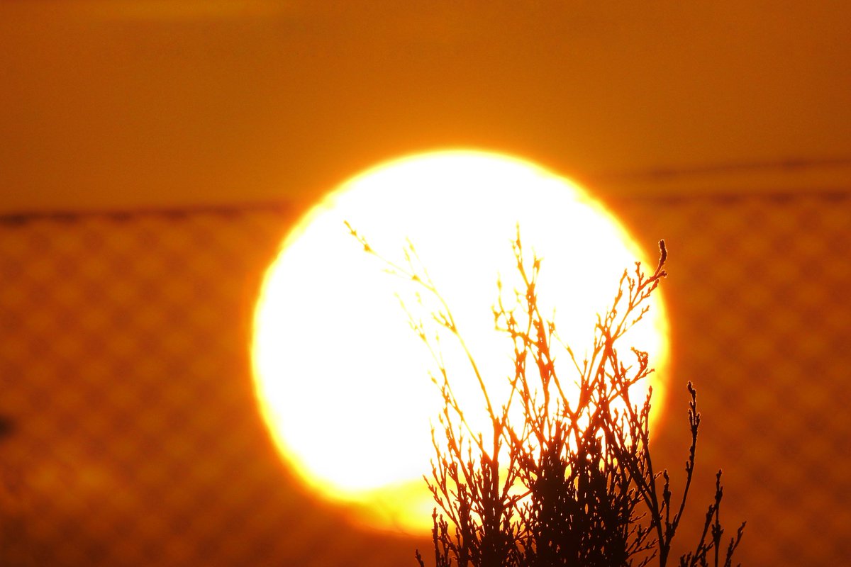 Mari Cortés tweet media