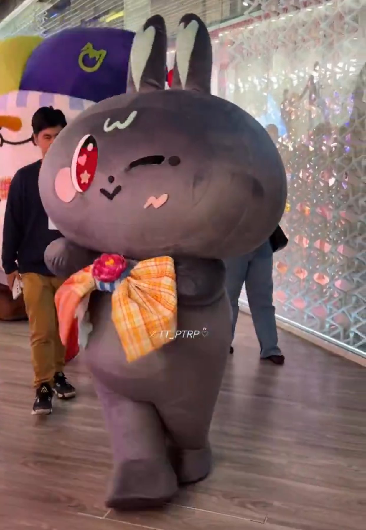 GMM LOL2025 WinnySatangシークレット＋α GMM LOL2025 WinnySatangシークレット＋α トレーディングカード