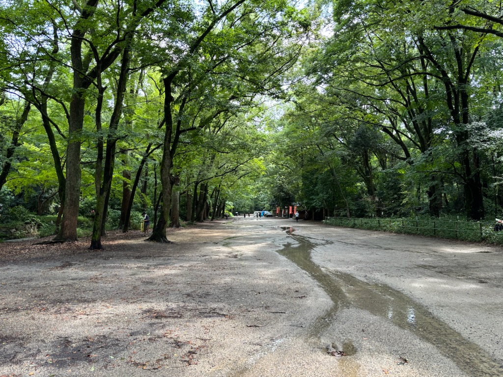 koshoken's tweet image. 第38回下鴨納涼古本まつりは昨日無事終了いたしました。たくさんのお客様にご来場、お買上頂き誠にありがとうございました。今日、糺の森の清掃を終えて、今年の夏は完全に終了です。来年もどうぞご期待ください。次は百万遍知恩寺で開催の秋の古本まつりです。皆様のご来会をお待ちしております。