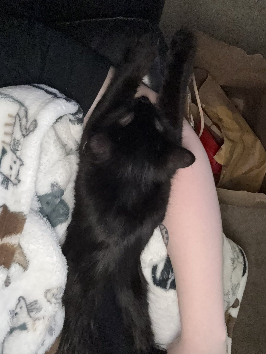 rate her spread