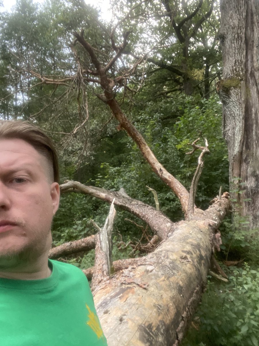 Alex ⨀ tweet media