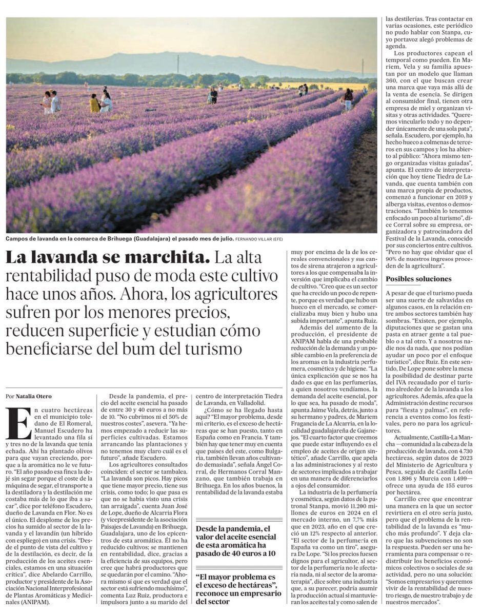 Vía El País

#Agricultura #Lavanda <a href="/AgricultorCast/">Tractorista de Castilla 🚜💨</a>