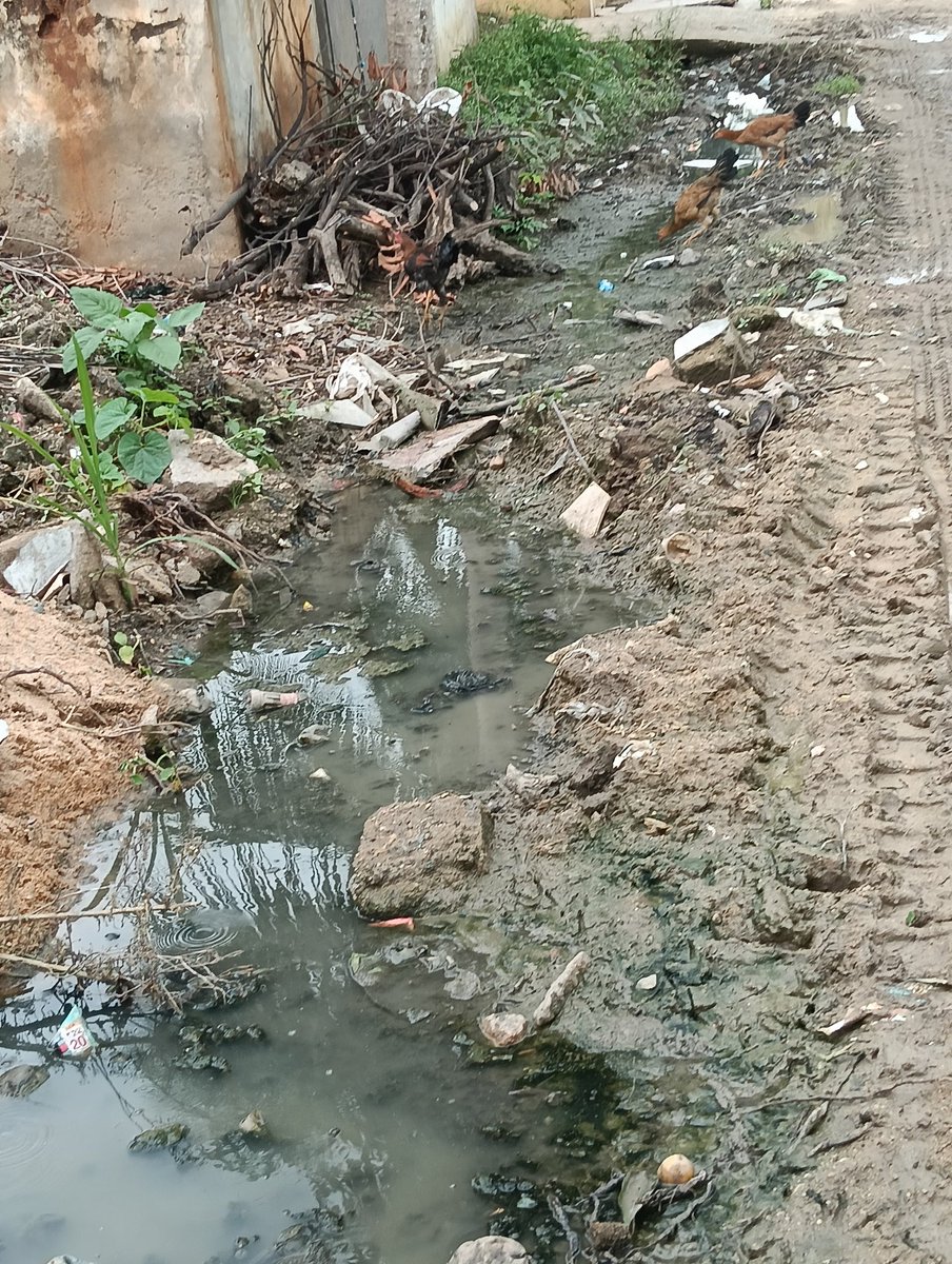 Kothapalli_Boys's tweet image. We are not asking for luxury — just clean roads and proper drainage.

🙏 Please visit our area, listen to the public, and take immediate action.
We deserve a safe and healthy environment too.
#DrainageProblem #RoadCondition #NeglectedVillage #NeedImmediateAction #CleanVillage