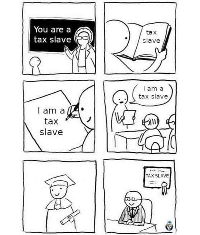 The education system in one image