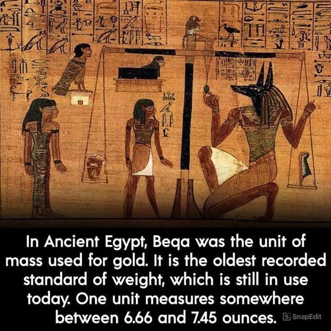 mursi73's tweet image. #gloriaborregolara #Beqa