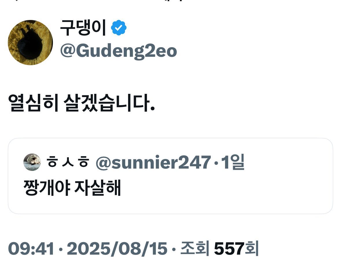 구댕이 tweet media