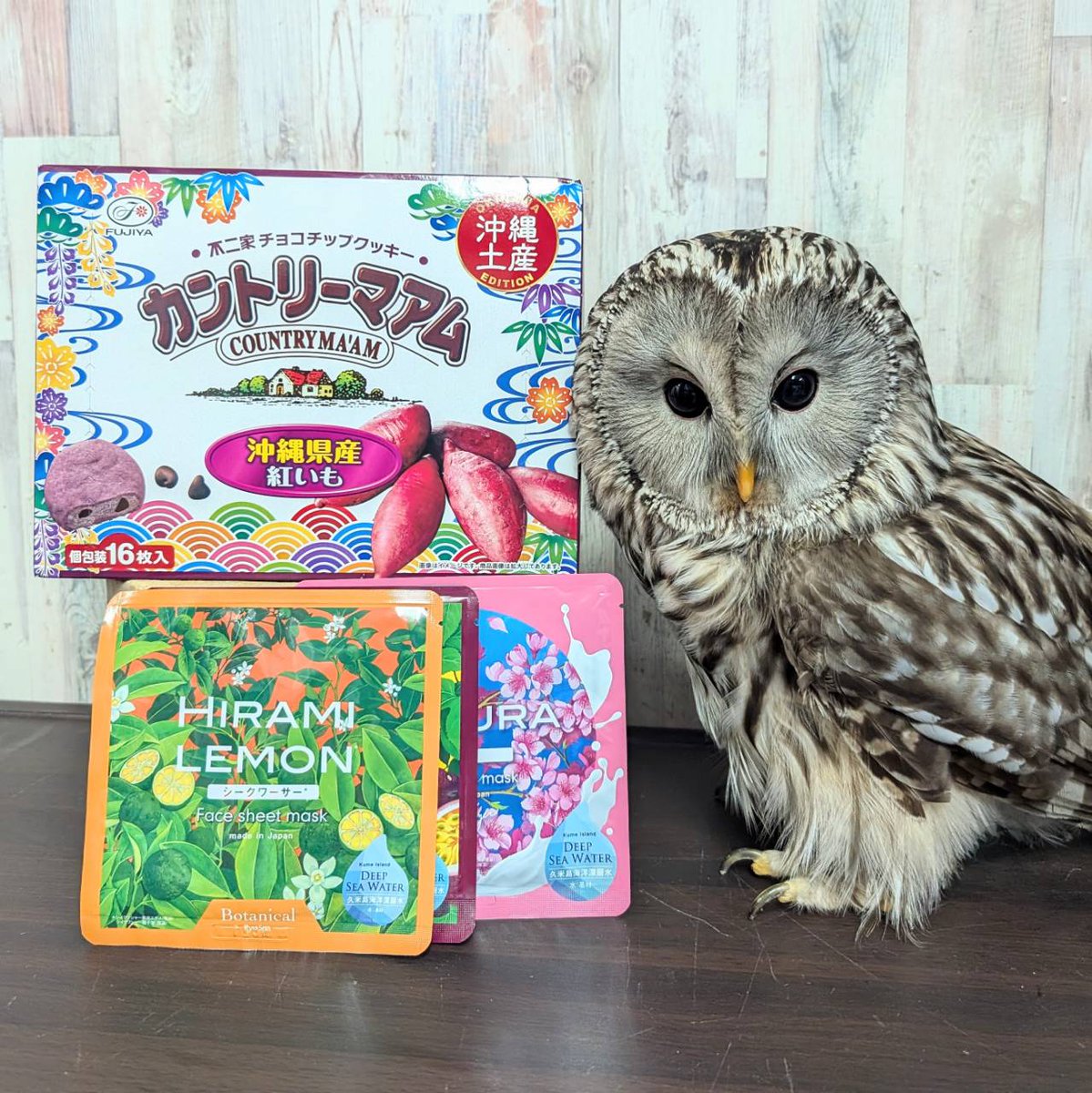 沖縄お土産ありがとうございます🦉
#沖縄
#沖縄県産紅いもカントリーマアム
#RyuSpa 
#botanicalフェイスパック

体験型フクロウカフェ東京池袋西口
あうるぱーく フクロウカフェ池袋
owlpark.tokyo
フクロウカフェ道順
maps.app.goo.gl/g7eEmM8csxTJ2z…
#あうるぱーく #フクロウカフェ
#池袋