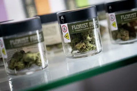 Marijuana shops sue New York after they were allowed to open too close to schools

ALBANY, N.Y. (AP) — A group of marijuana dispensaries in New York sued the state on Friday after cannabis regulators admitted they accidentally allowed pot shops to open too close to schools,