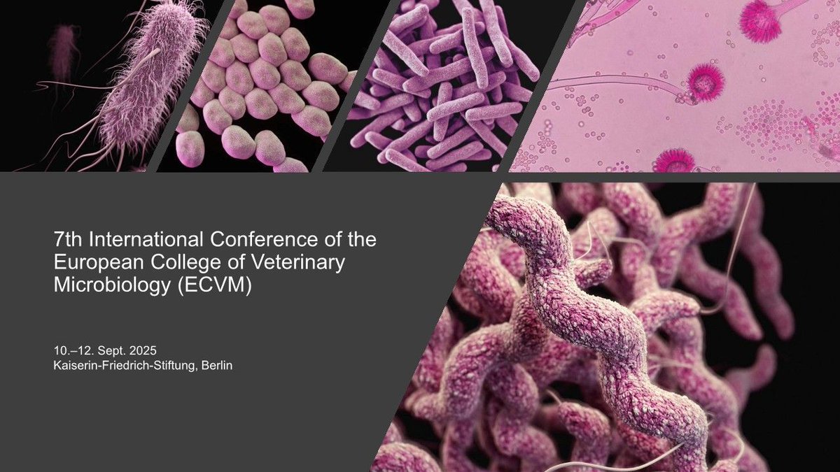 The final programme for this year's ECVM Annual Meeting is ready. Take a look at it via this link: evis.events/event/524/time… 

Registration is still open. #7thECVM