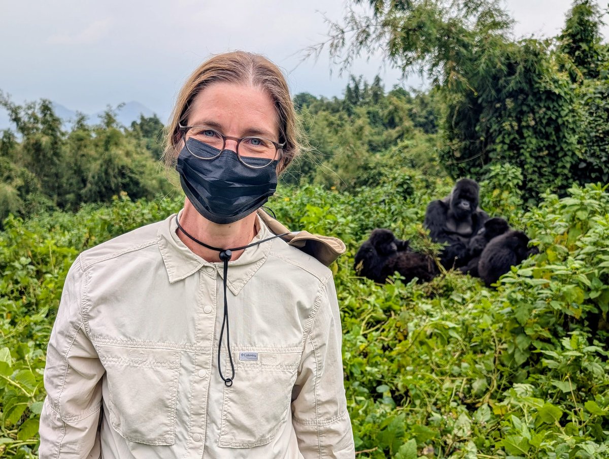Verena Rieser (@verena_rieser) on Twitter photo Good morning Rwanda 🇷🇼 I'm excited to open <a href="/DeepIndaba/">Deep Learning Indaba</a> with my keynote on Beneficial AI tomorrow! But first... taking a little detour to see this amazing country. Good morning Rwanda 🇷🇼 I'm excited to open <a href="/DeepIndaba/">Deep Learning Indaba</a> with my keynote on Beneficial AI tomorrow! But first... taking a little detour to see this amazing country.