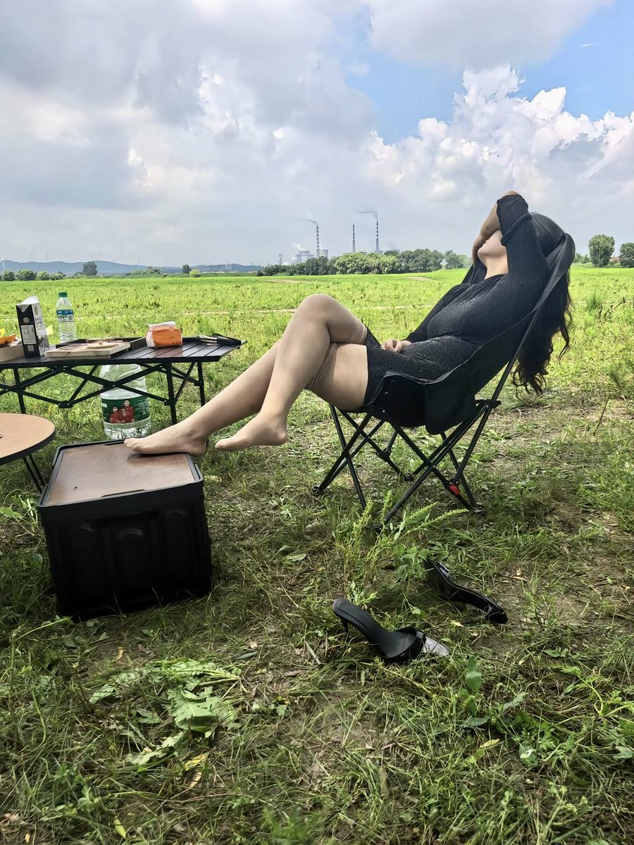 奉天七叔 tweet media