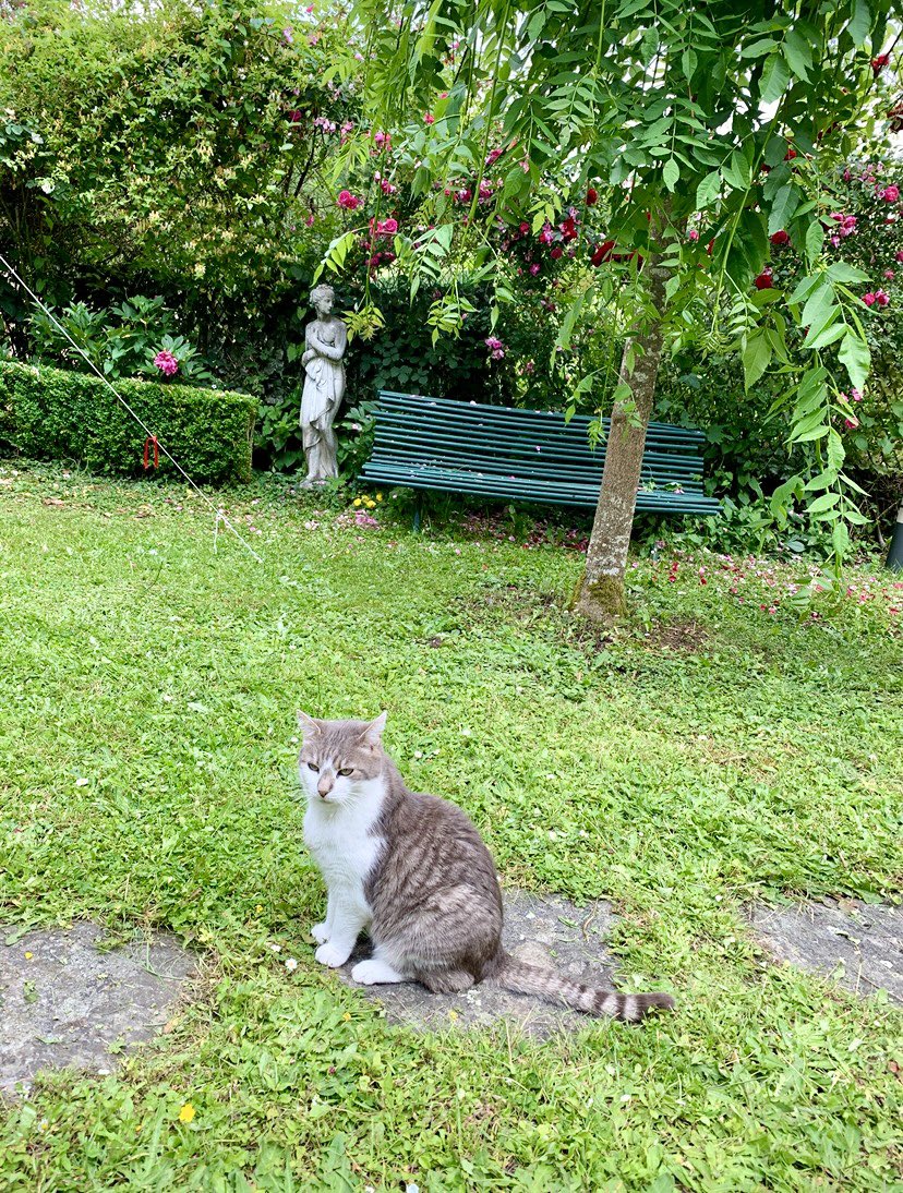 <a href="/MartineCONORD/">Martine CONORD</a> <a href="/Villedemoulins/">Ville de Moulins</a> <a href="/Allierdpt/">Allier Département</a> <a href="/JusteCentriste/">LE JUSTE CENTRISTE 🇪🇺♦️😷🇺🇦🐞🙏</a> <a href="/experienceloire/">Loire Valley</a> <a href="/Salerpipopette/">Pascale Prempain</a> <a href="/Cadetsandrine87/">Cadet</a> <a href="/MyLoireValley/">My Loire Valley</a> <a href="/so_tourisme/">So_Tourisme 🌐🇨🇵🇪🇺</a> <a href="/LdOptimistes/">Ligue des Optimistes 🤗💙</a> <a href="/jmlpyt/">jmlpyt photography</a> <a href="/philippepoustis/">Philippe Poustis 🇺🇦🇦🇲</a> <a href="/ElfieNeuberger/">Elfie Neuberger</a> <a href="/Pauline_Nollet/">Pauline N 🇺🇦🎗🇮🇱</a> <a href="/PAC1515/">Tourisme Randonnée En Bourbonnais 🇫🇷🇨🇭🇮🇹🌿</a> Et le mien en retour