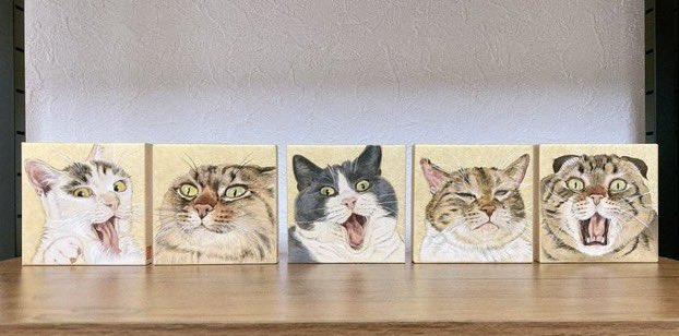 モデル猫募集開始のお知らせ✨

『変顔猫』シリーズ第二弾！
今回は『変顔猫』に加え『極悪猫』という治安の悪い猫ちゃんのお顔も募集させて頂きます！
皆様の秘蔵のお写真を下さい🙇

この投稿をリポストの上、リプライにて何匹でも何枚でもご応募下さい。