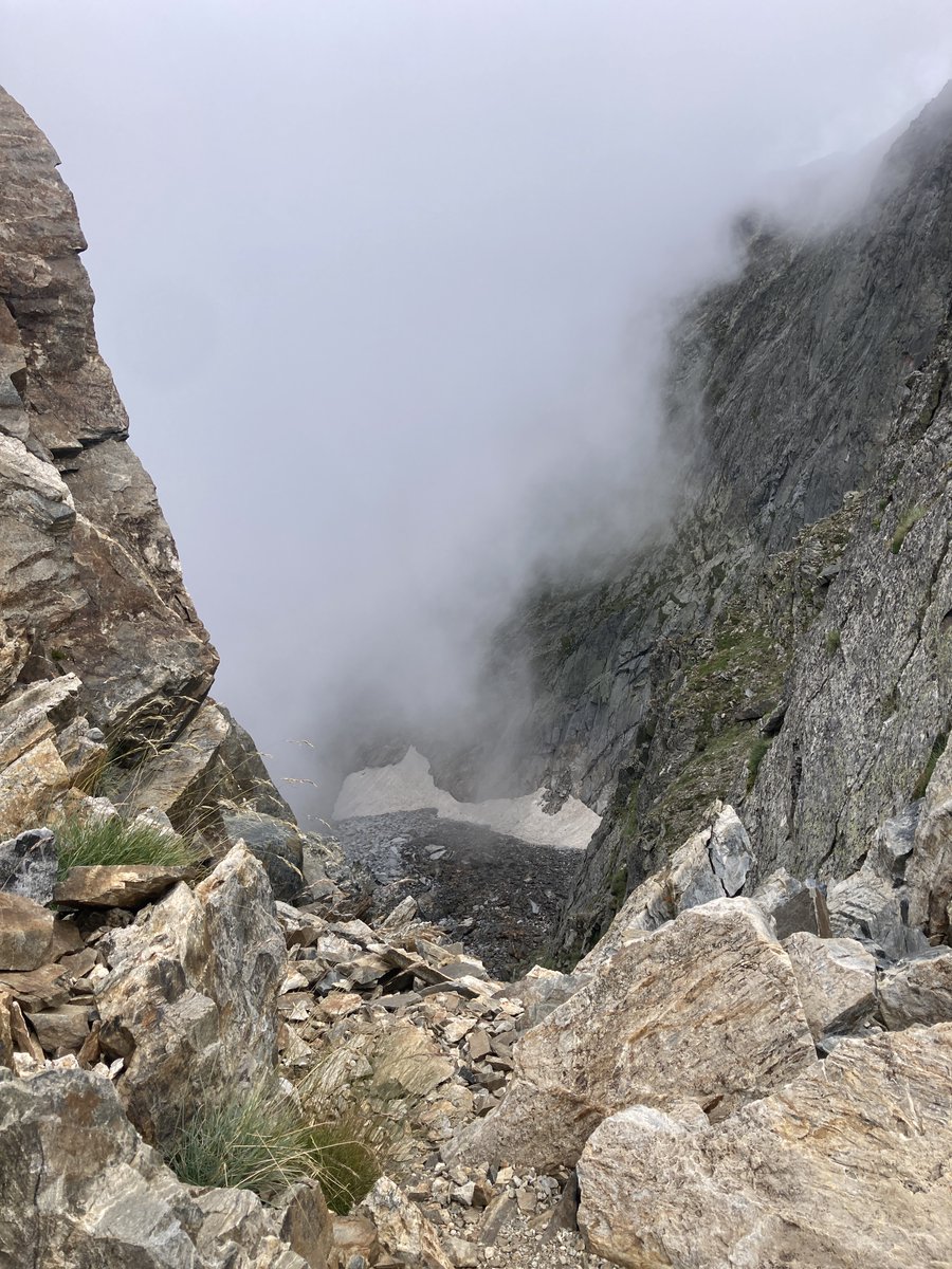 Oriol Izquierdo 🎗️ tweet media