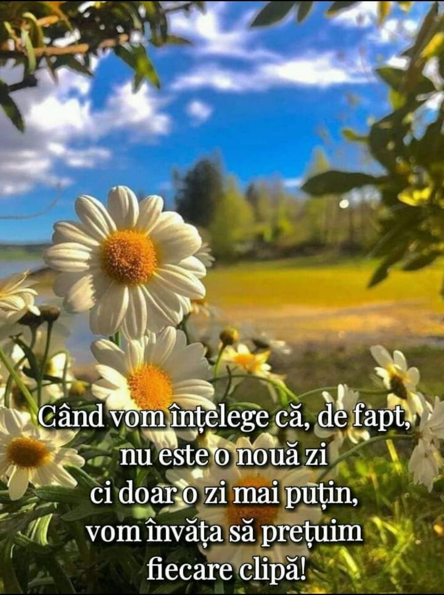 Nicole (@ndraghi265) on Twitter photo 