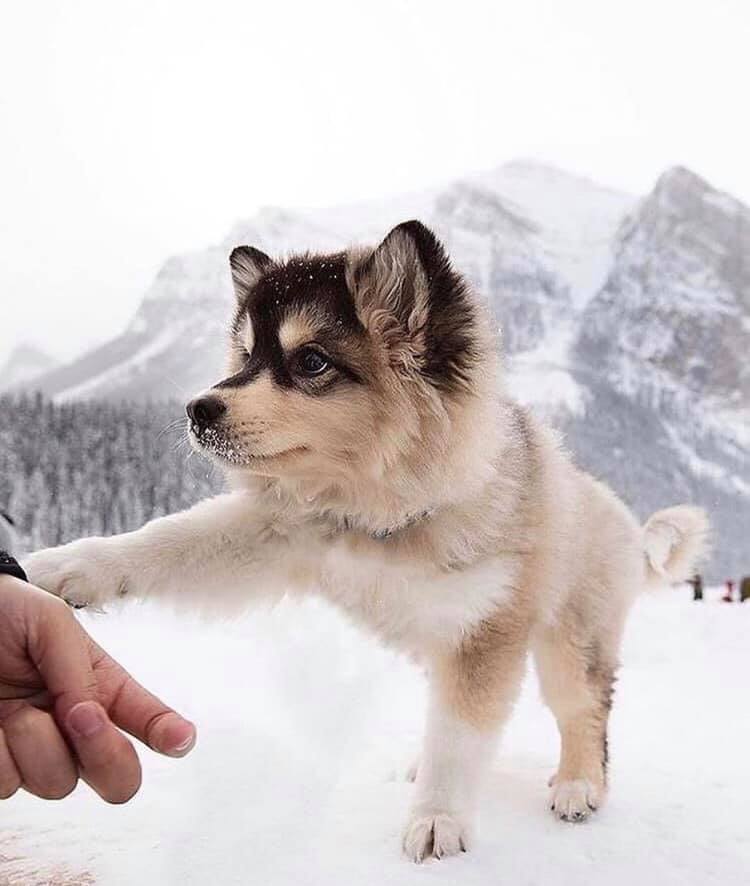 <a href="/197410_1/">197410月1日吉川浩司</a> こんにちは