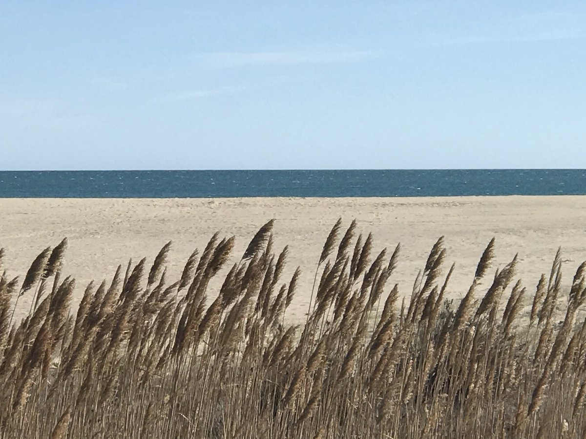 neverexplain61's tweet image. #MaPlage #PortLeucate 🤩