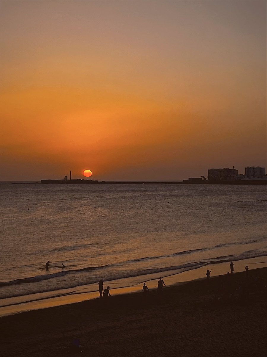 Iciar 🌸 tweet media