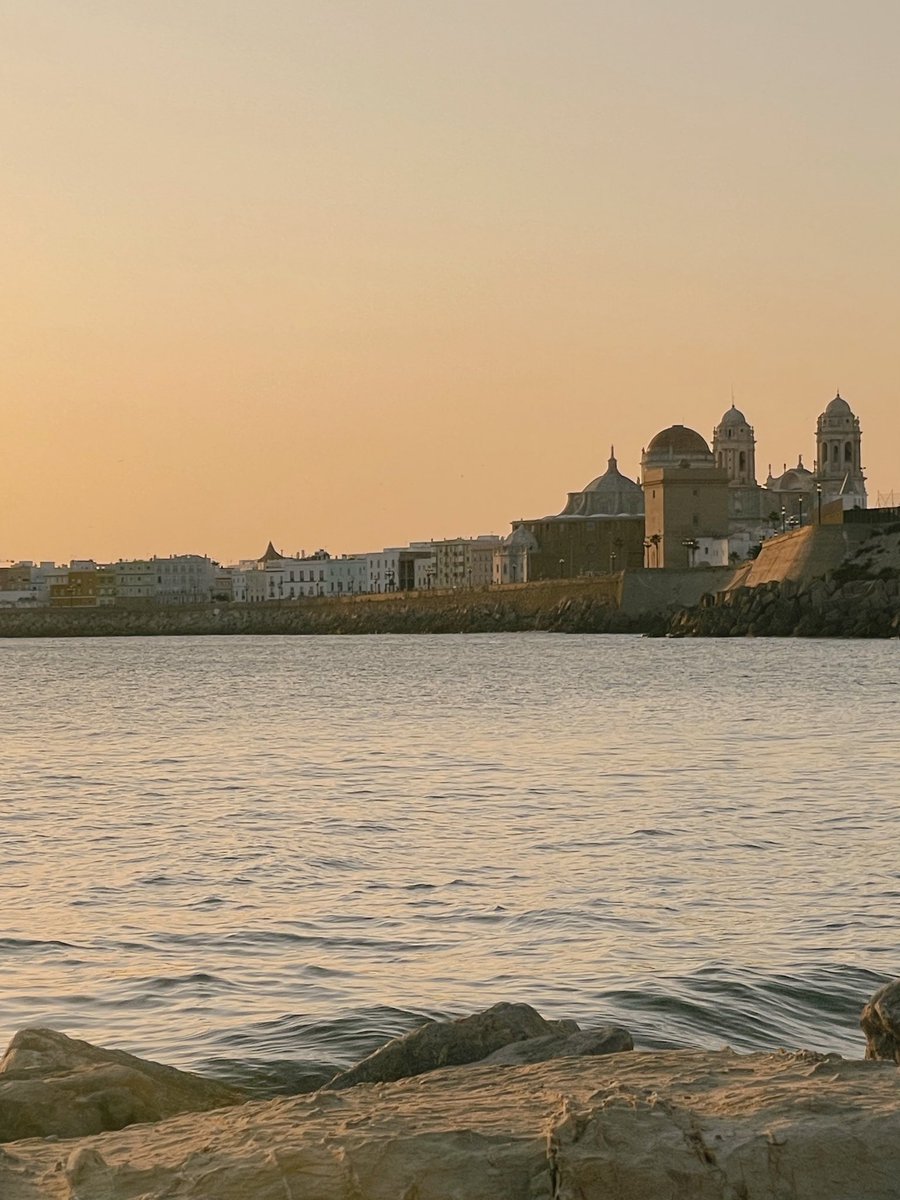 Iciar 🌸 tweet media