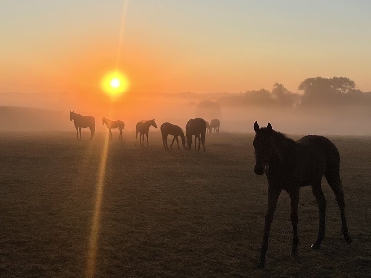 Sunday sunrise ❤️