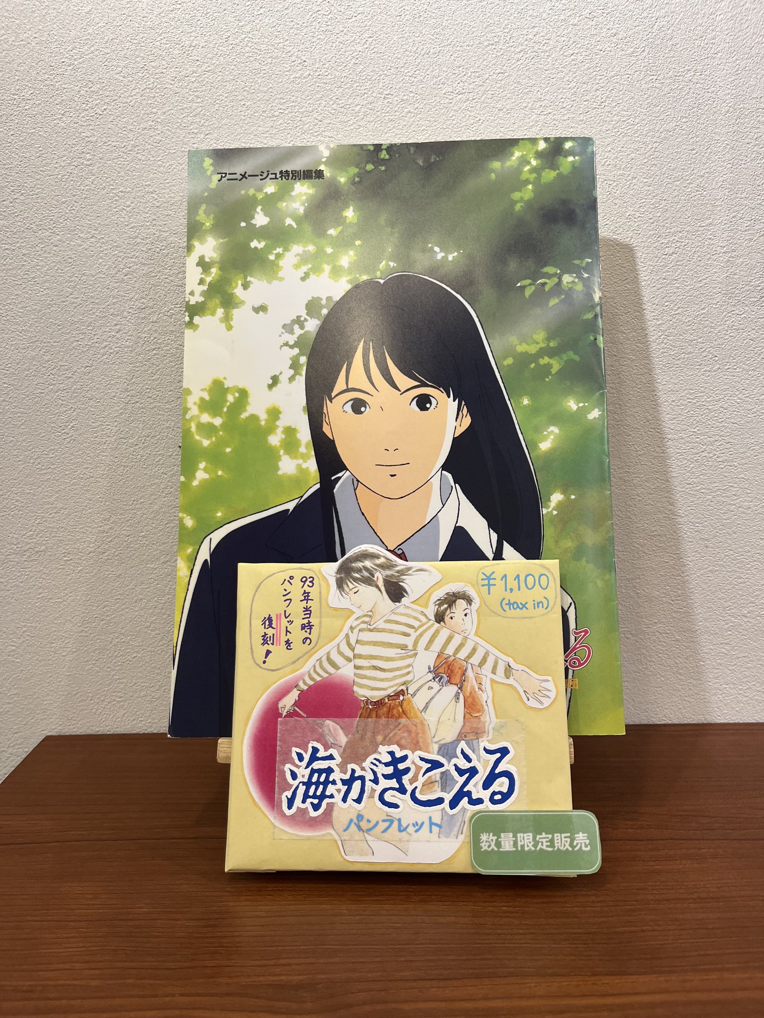 パンフレット 海がきこえる アニメージュ特別編集* 海がきこえる』復刻