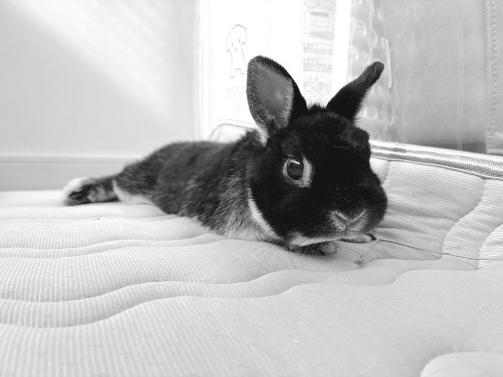 涼しいお部屋でのんびり