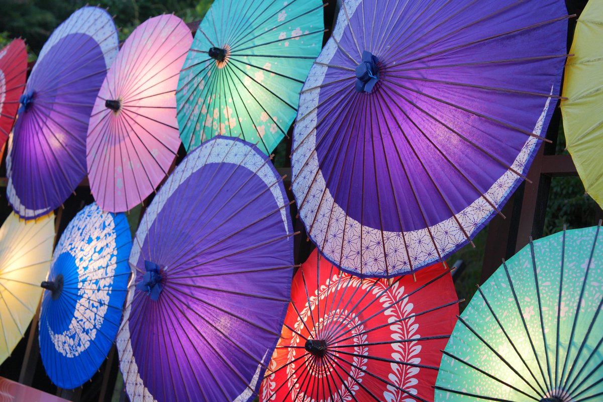 金魚可愛い(◎θ◎　β　)Э