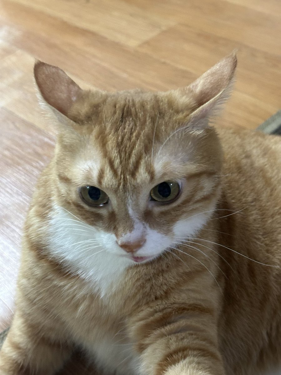 햇시 ෆ⃛ tweet media