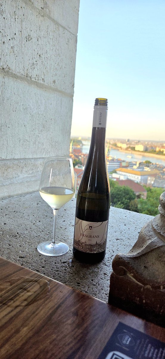 Buenos días #vinovianos 
Hoy vinito húngaro! Fragans 2024 coupage de uvas autóctonas 🤗
A darle al vino! Feliz domingo🤩
#mimundodelvino
