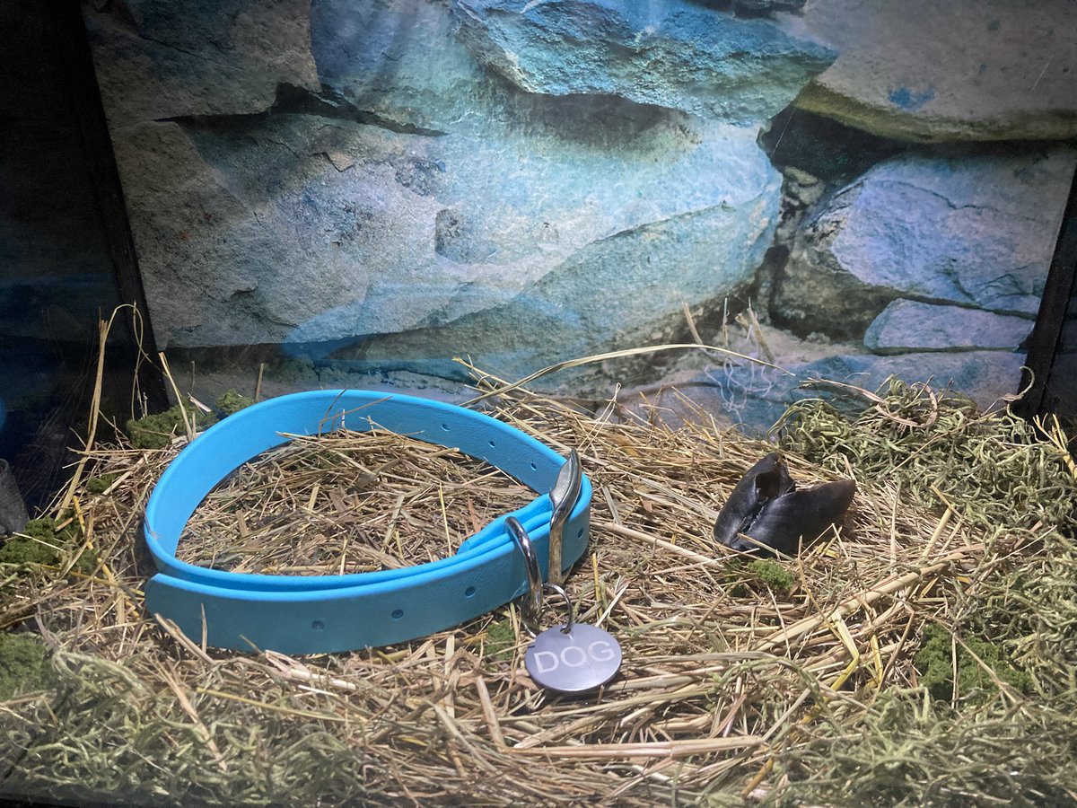 🪦 Lamb 🪦 tweet media