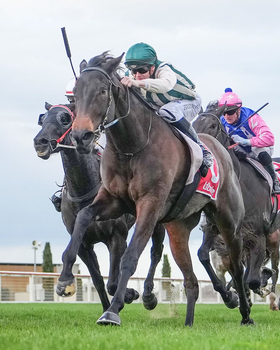 Racing Victoria tweet media