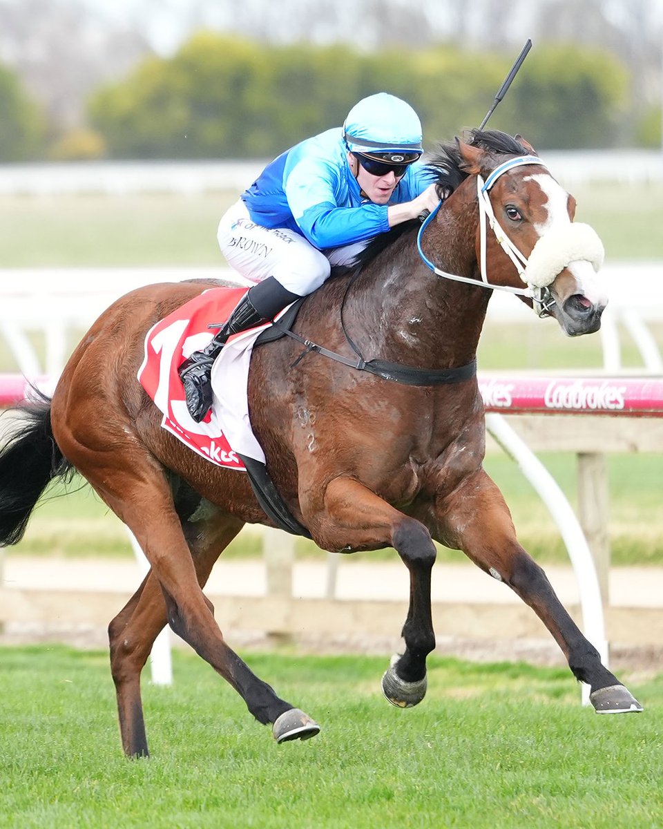 Racing Victoria tweet media
