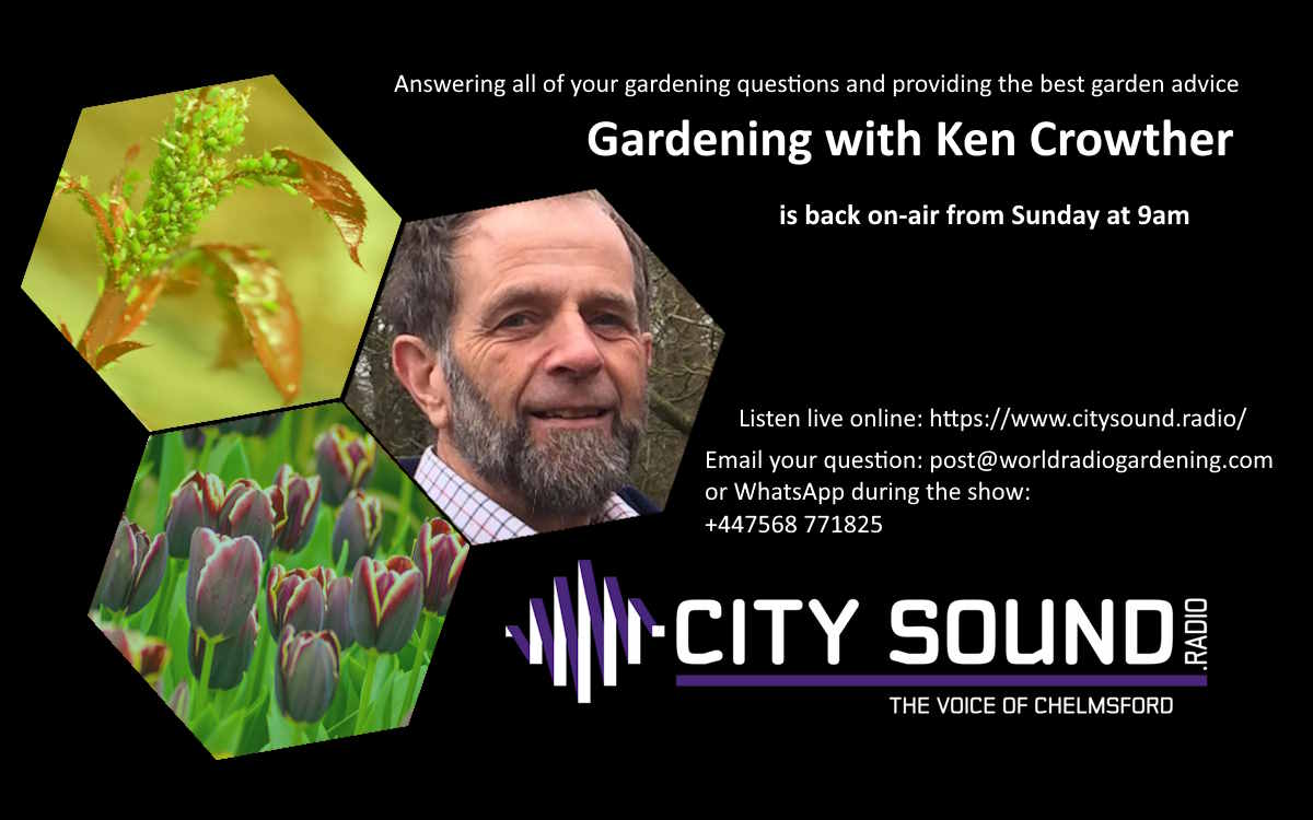 Ken is back on the #radio right now answering your questions.  Listen live <a href="/CS_chelmsford/">City sound</a> 

#gardening #gardeningtips #essex #chelmsford #liveshow #greatbaddow #maldon #MoulshamStreet #melbourne #gardeningadvice #littlewaltham #pleshey #southwoodhamferrers