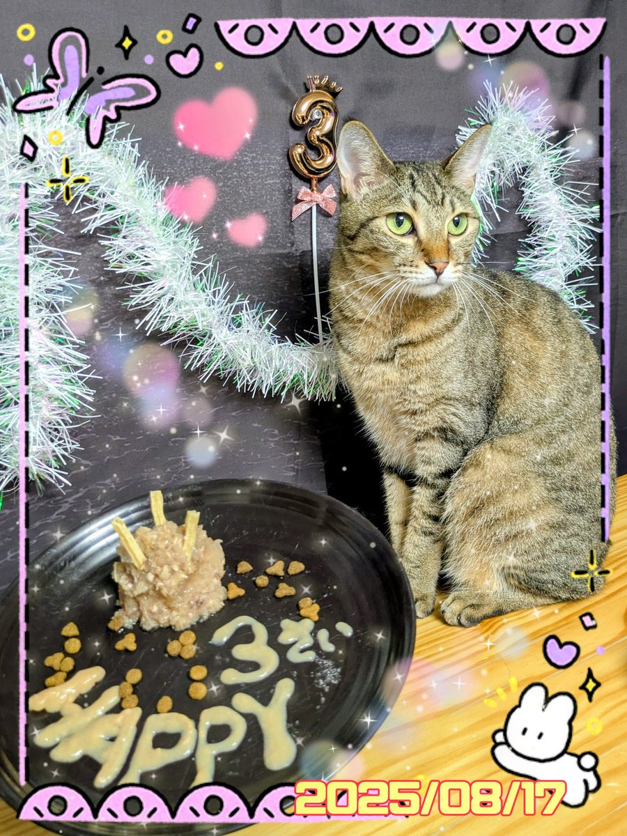 キジトラ🍋‍🟩ラム♡₍˄·͈༝·͈˄₎◞ ̑̑♡ tweet media
