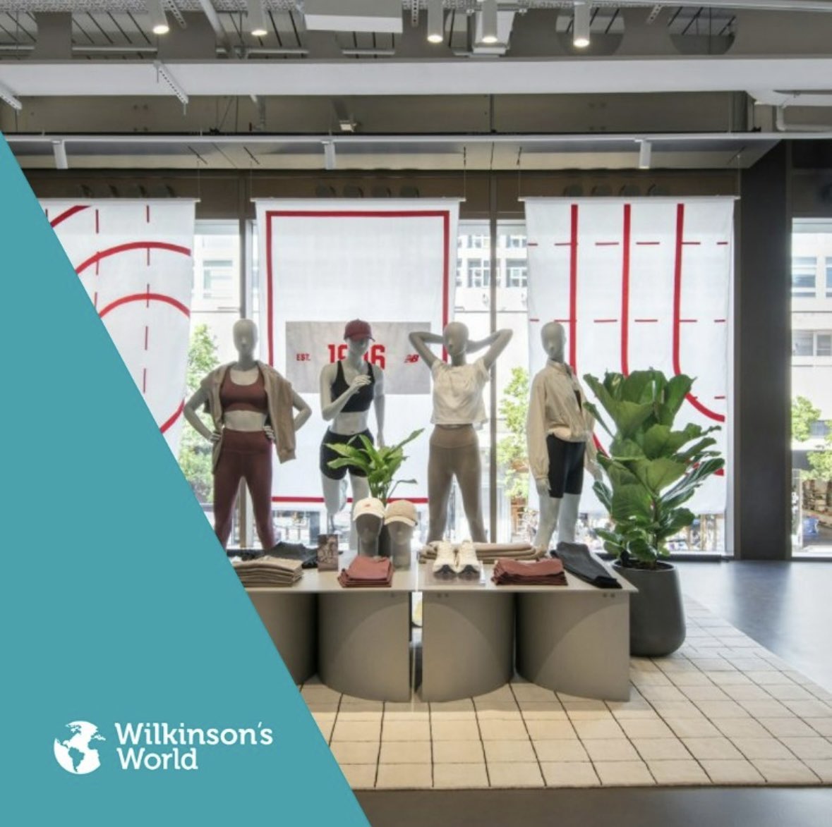 Wilkinson CC tweet media