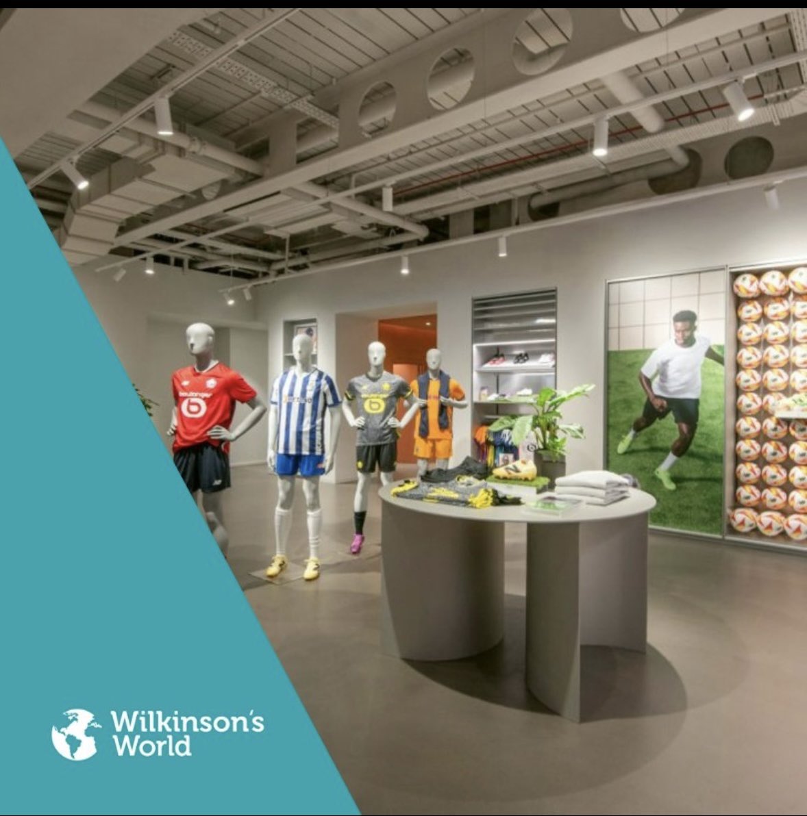 Wilkinson CC tweet media