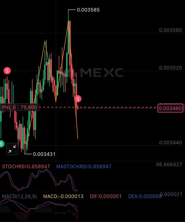 PUMP/USDT
SHORT 
Lev 15x
Gain 10%
SL 10%
#DYOR